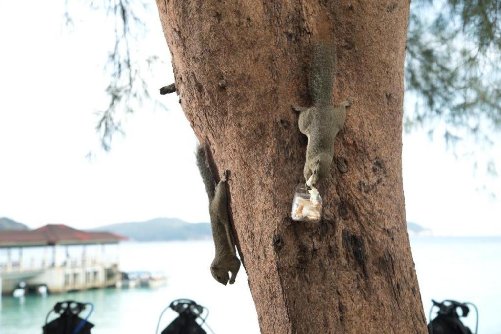 Perhentian Island Resort Екстериор снимка