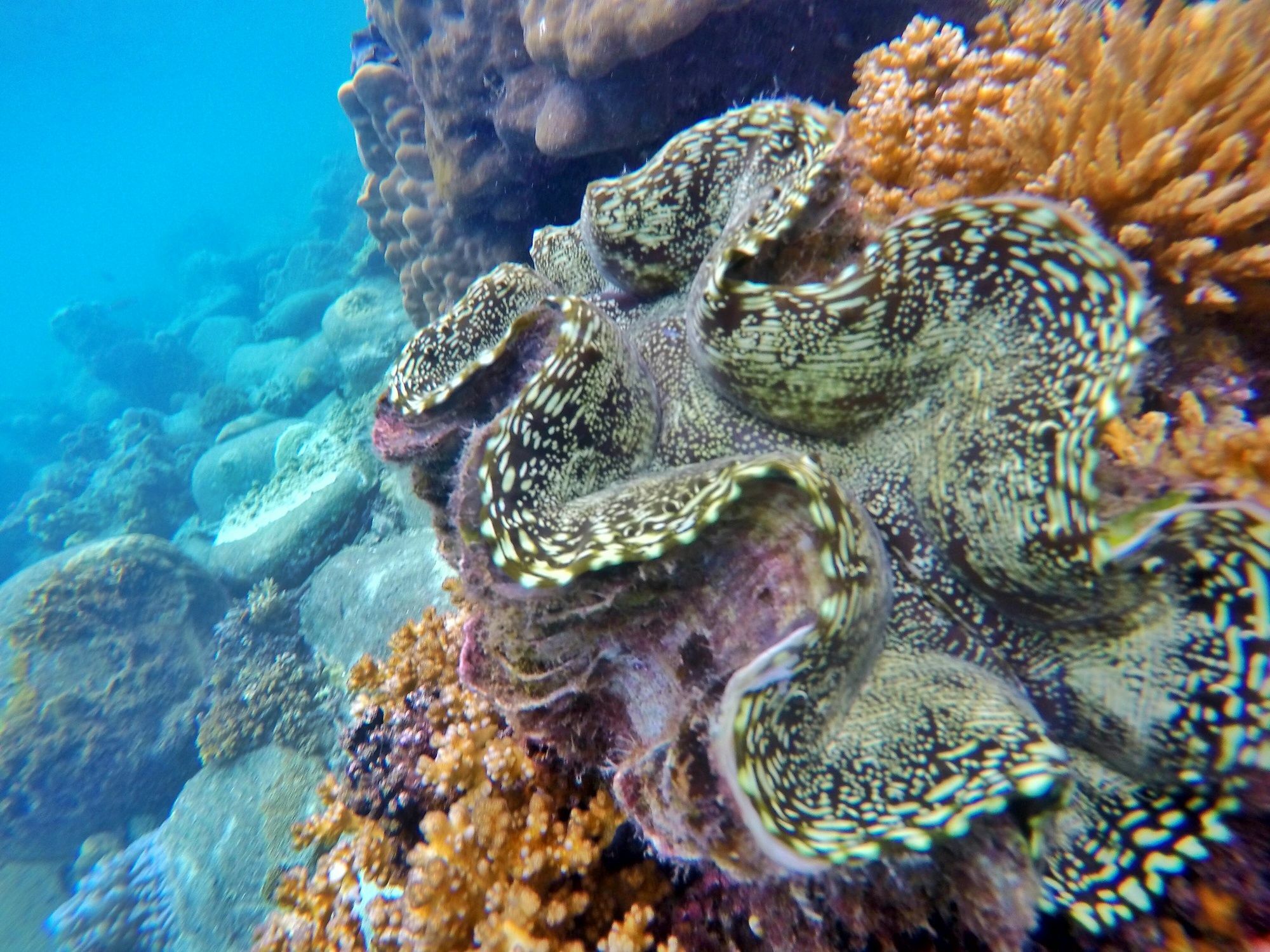 Perhentian Island Resort Екстериор снимка